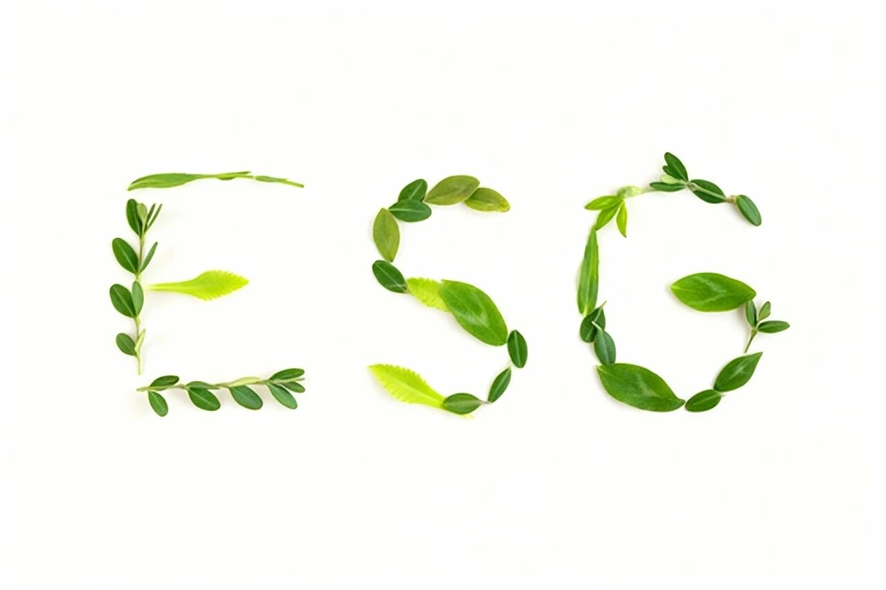 【专家观点】从被动合规到价值创造，ESG重塑企业竞争力